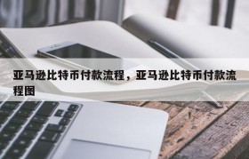 亚马逊比特币付款流程，亚马逊比特币付款流程图