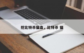 挖比特币猫盘，比特币 猫